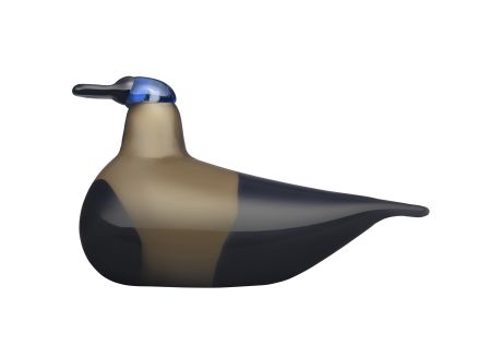 2020. gada putns 195x115 mm Kaisla | Annual bird 2020